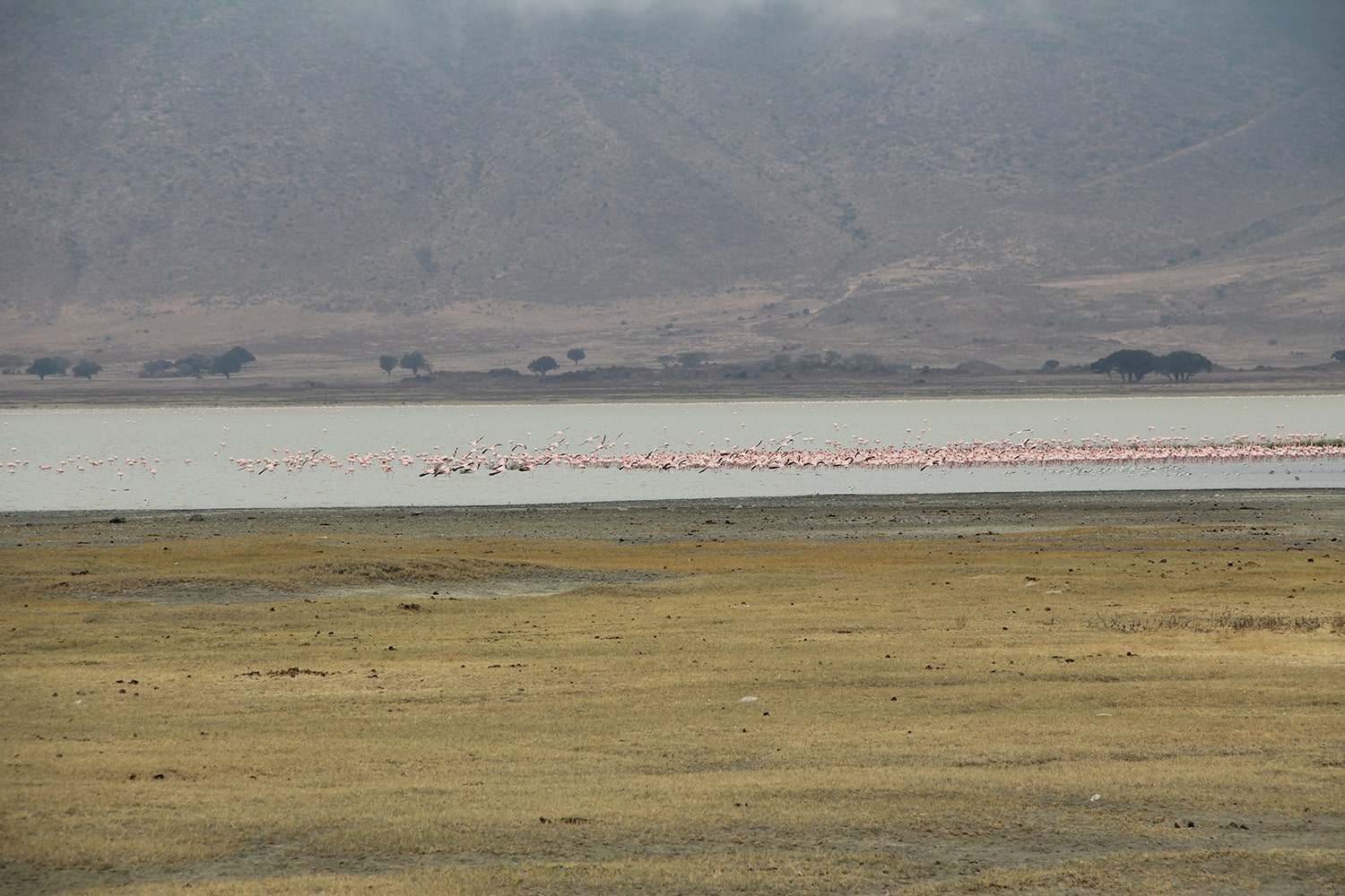 Ngorongoro1-min