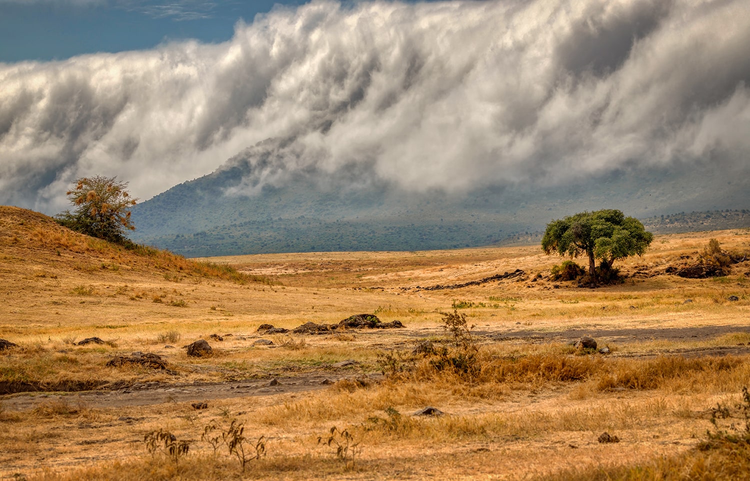 Ngorongoro8-min