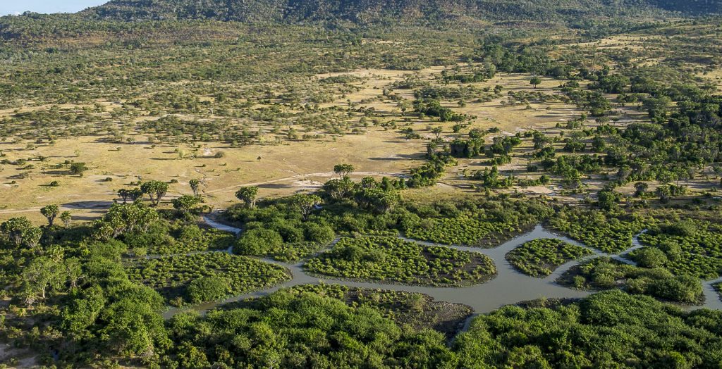 Riverine forests in the Selous Game Reserve in Tanzania, Africa.